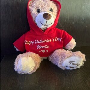 Valentine's Day Teddy Bear with Red Hoodie